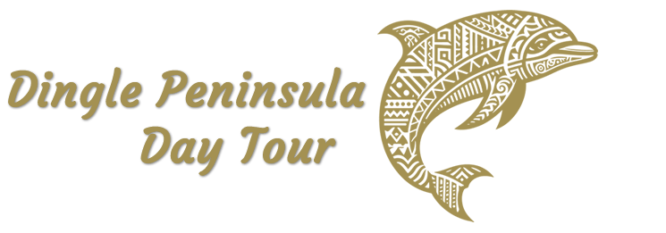 dolphine-dingle-day-tour