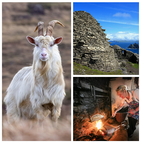 Expert Local Guides, Luxurious Transportation, Rated Five Stars on Trip Advisor